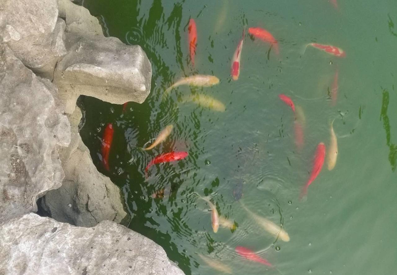 Pure-Land Villa Suzhou  Zewnętrze zdjęcie